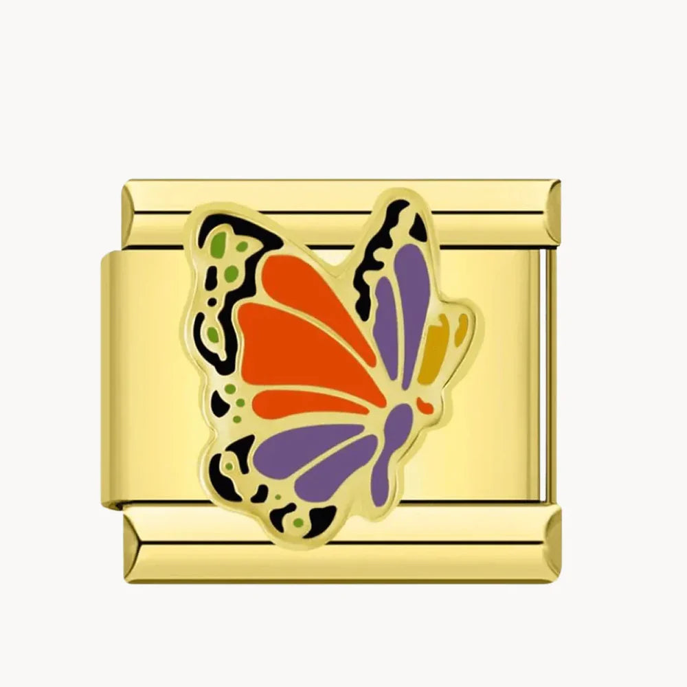 Papillon or